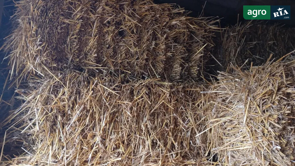 Солома    - фото 1