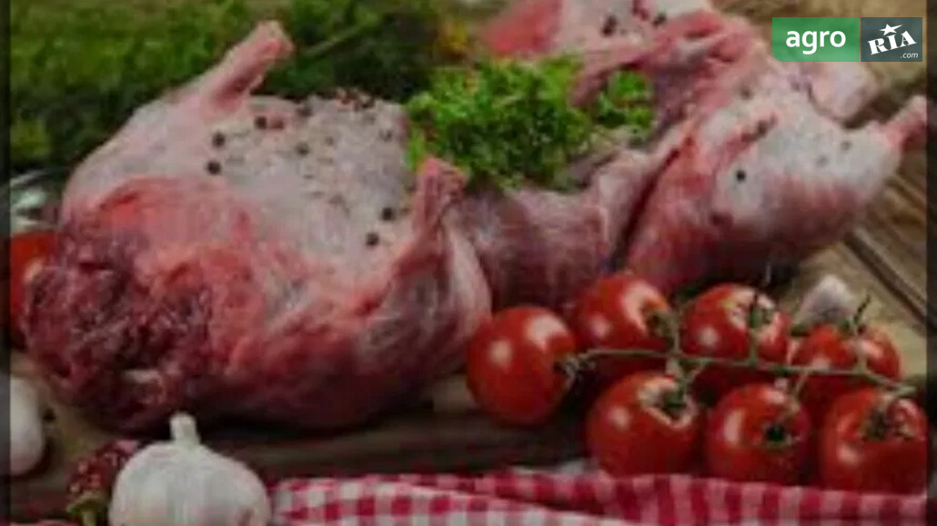 Нутрія    - фото 1