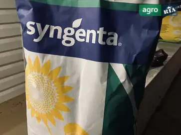 Арка семян подсолнечника - фото