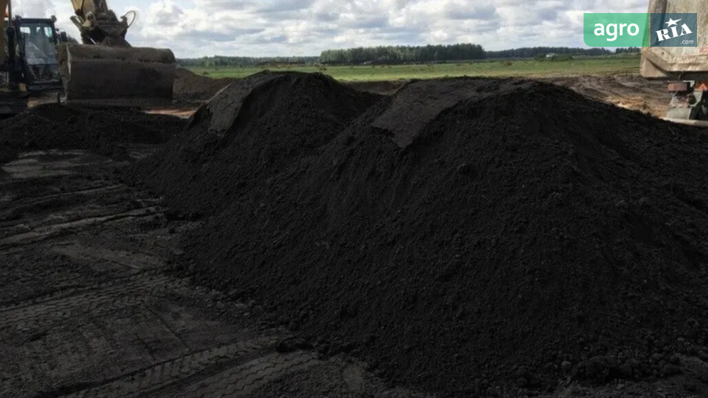 Чорнозем    - фото 1