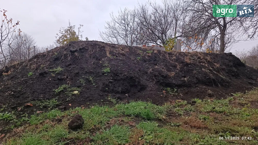 Чорнозем    - фото 1