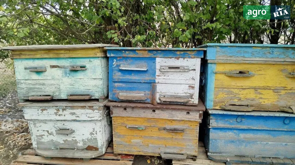 Вулик    - фото 1