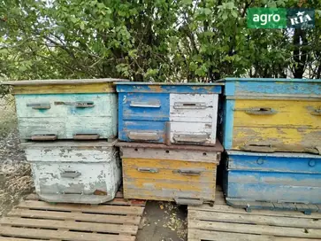 Вулики-лежаки на рамку Дадан - фото