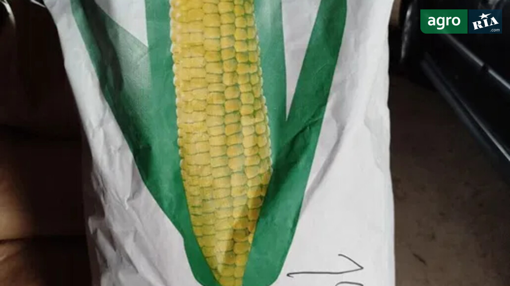 Кукурудза    - фото 1