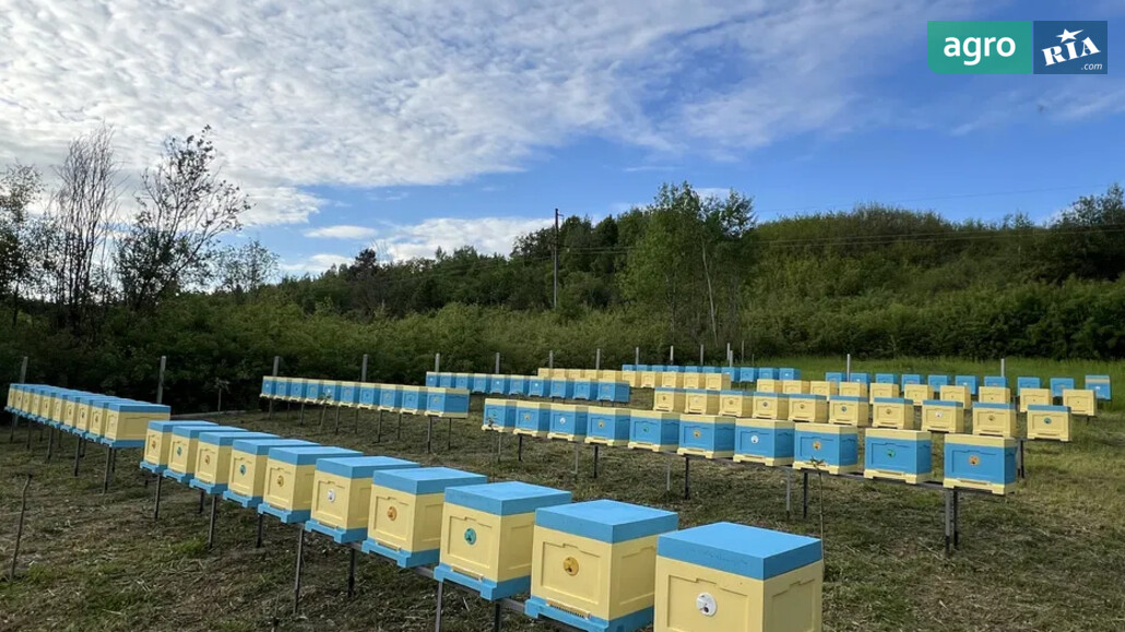 Бджолопакет    - фото 1