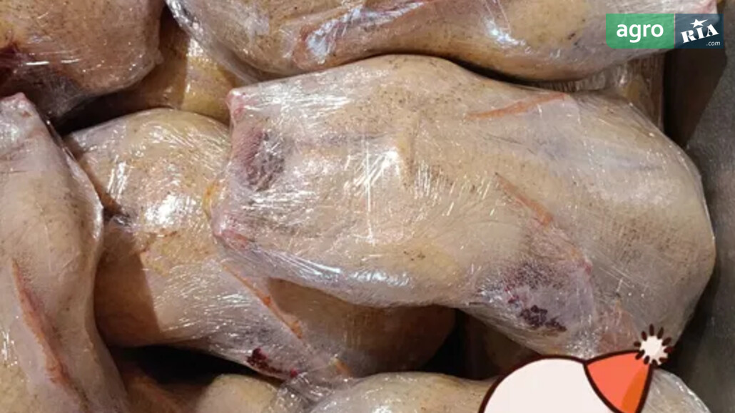 Качка    - фото 1