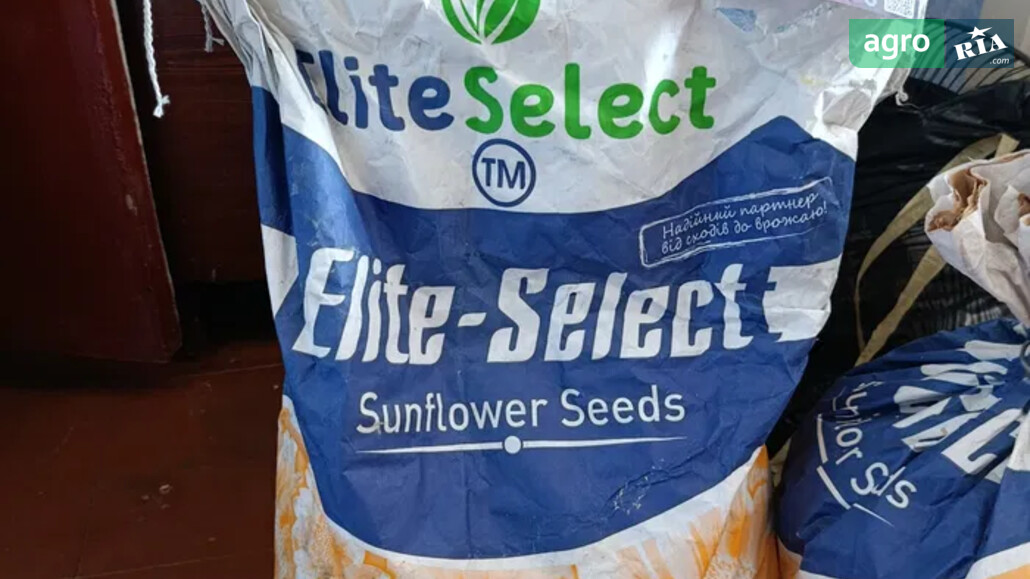 Соняшник    - фото 1