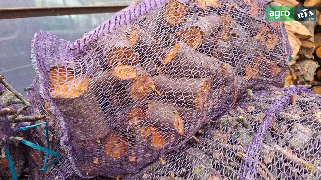 Дрова    - фото 1