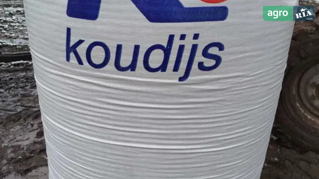 Біг-бег    - фото 1