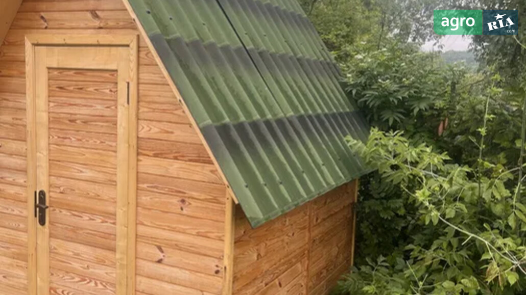 Апіхатина    - фото 1