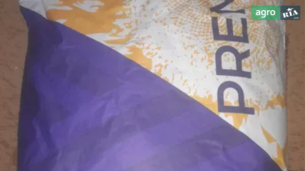 Соняшник    - фото 1