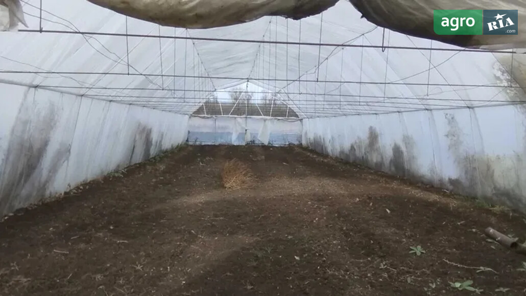 Теплиця    - фото 1