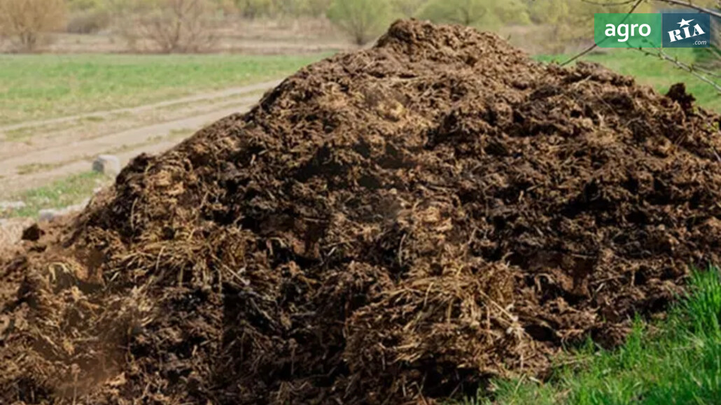 Перегній    - фото 1