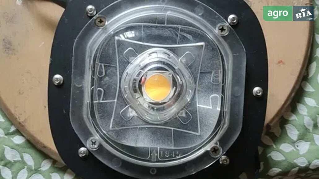 Фітолампа    - фото 1