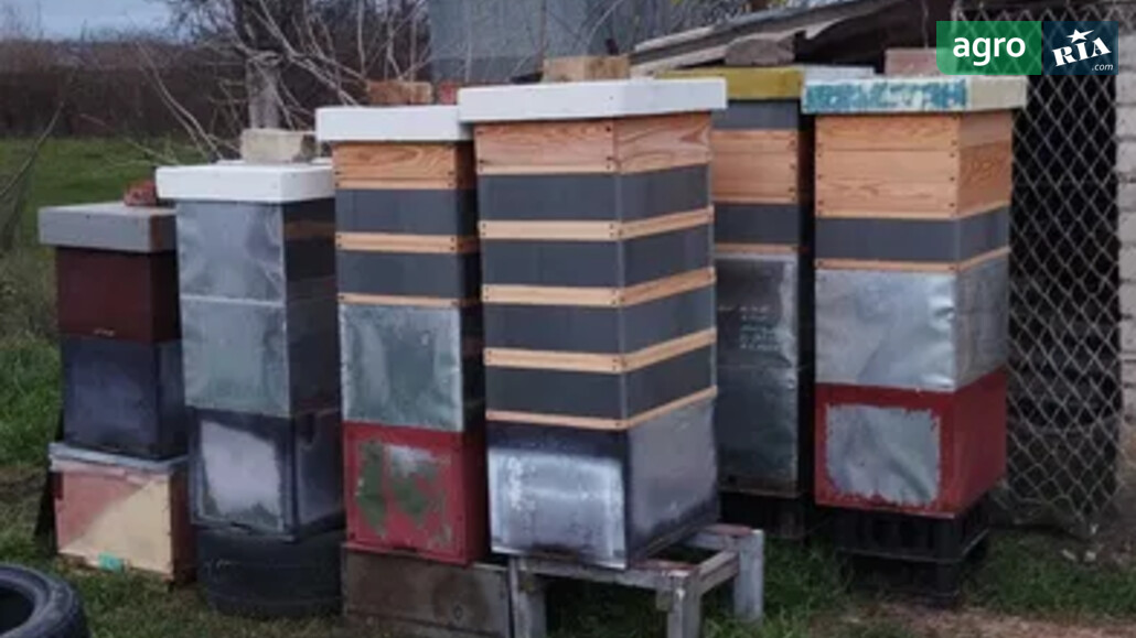 Пасіка    - фото 1