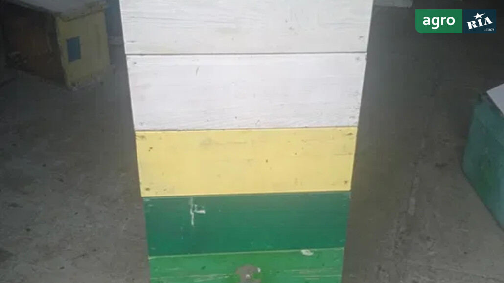 Пасіка    - фото 1