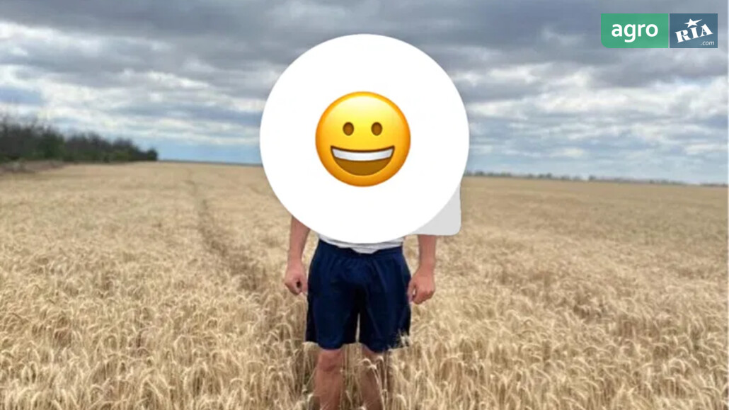 Пшениця    - фото 1