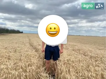  Пшеница собственного производства - фото