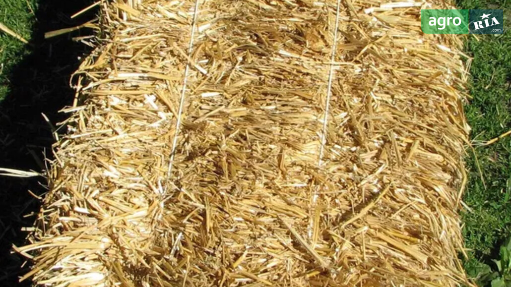 Солома    - фото 1