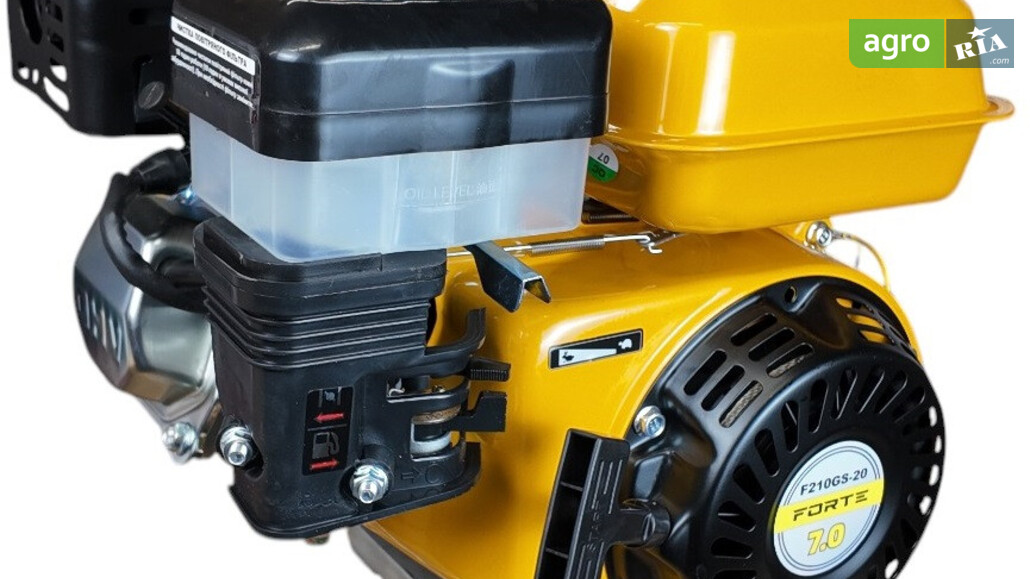  Forte   - фото 1