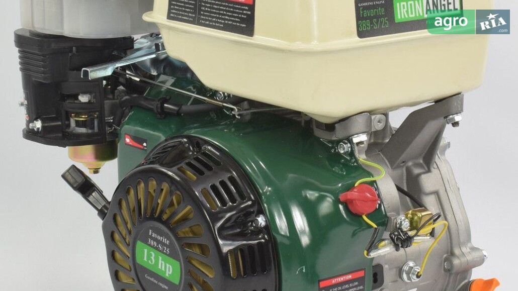  Iron Angel   - фото 1