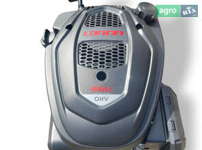 Двигун Loncin LC1P65FE-2 бензиновий 4 к.с. вал 22.20 мм. – шпонковий.