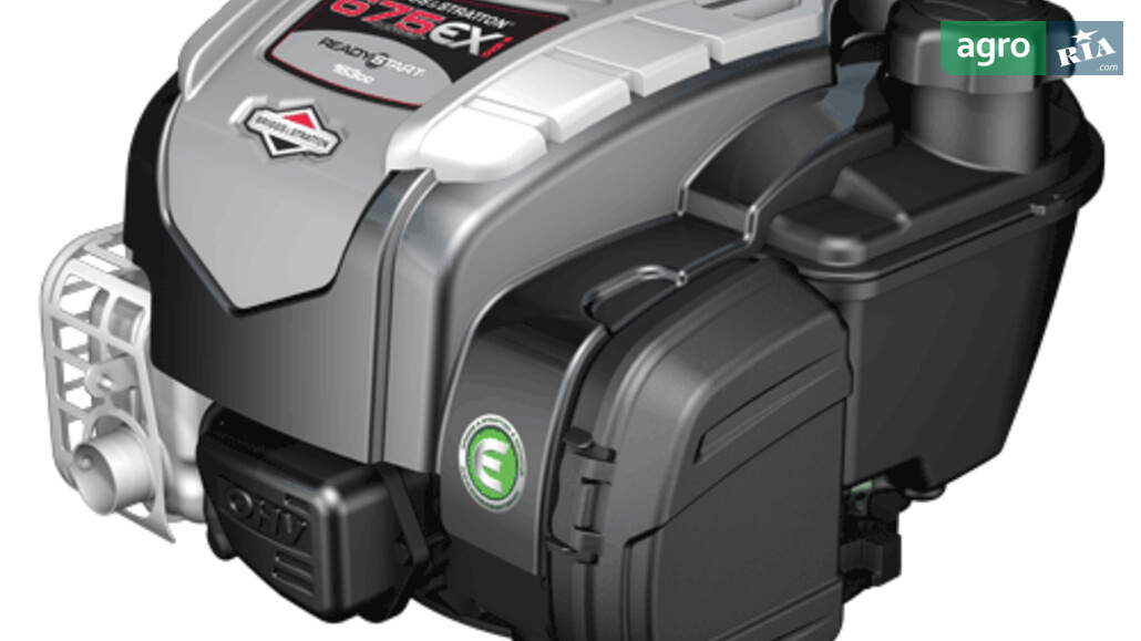  Briggs&Stratton   - фото 1