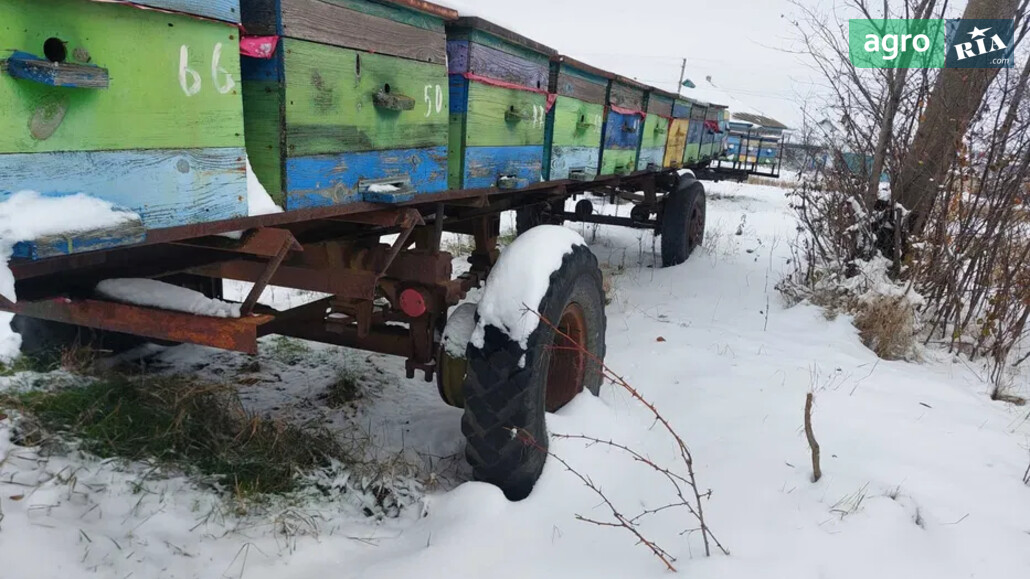 Вулик    - фото 1