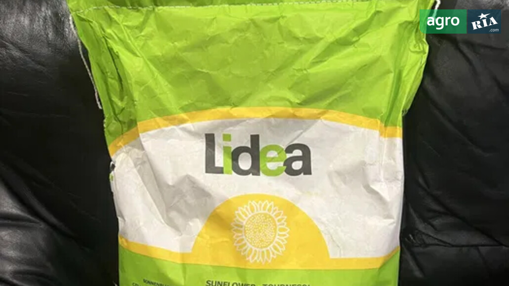 Соняшник    - фото 1