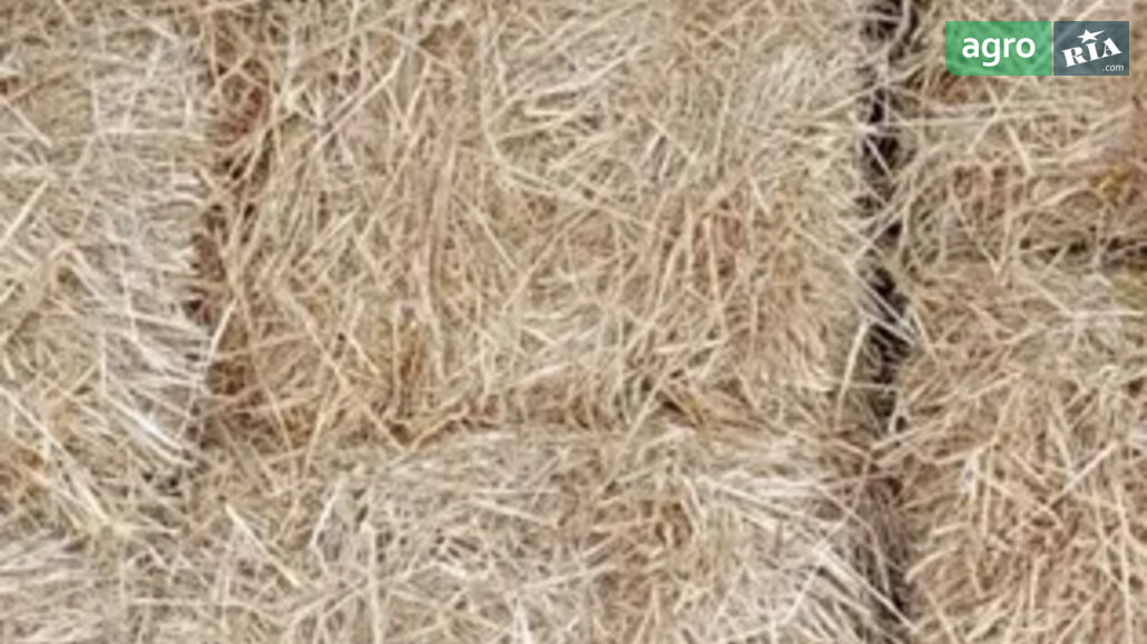 Солома    - фото 1