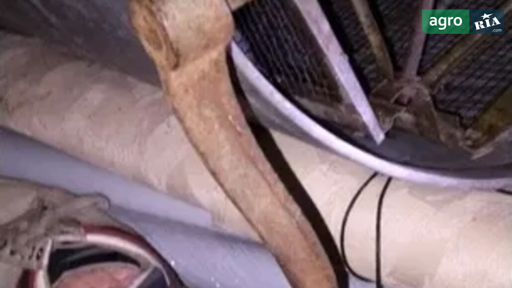 Медогонка    - фото 1