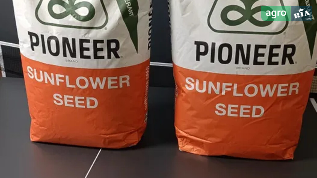 Соняшник    - фото 1