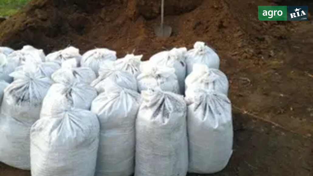 Перегній    - фото 1