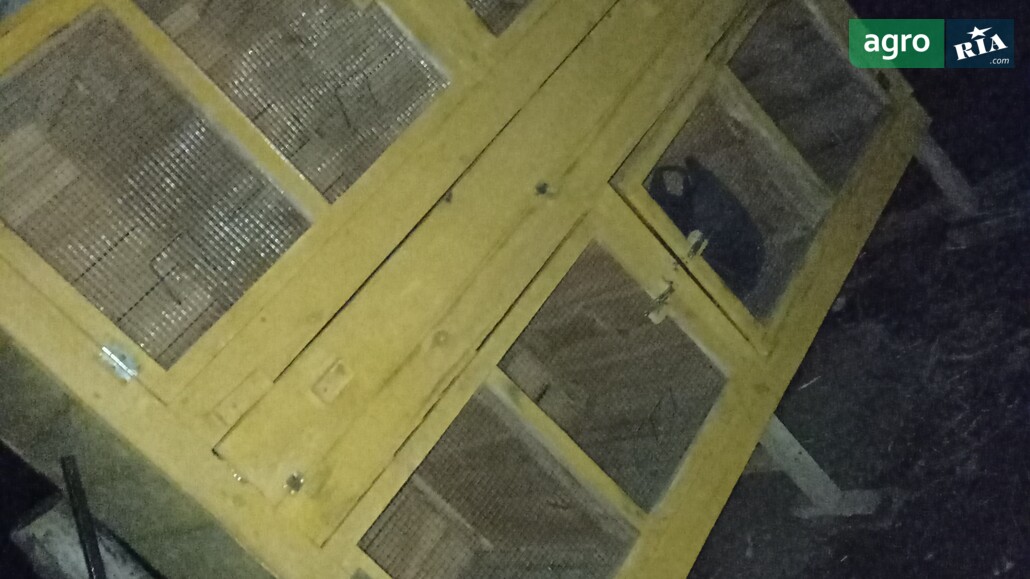 Кролятник    - фото 1