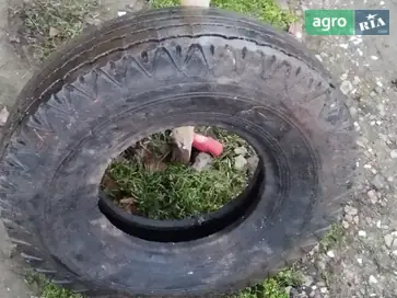 Шина для прицепа - фото