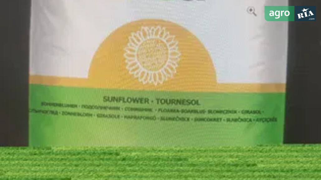 Соняшник    - фото 1