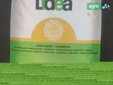 Насіння соняшнику ЕС Розалія - фото