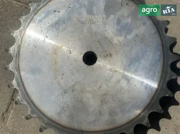 Звездочка - фото