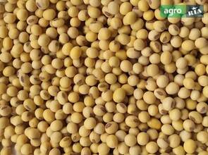 Посівна соя, швидка доставка