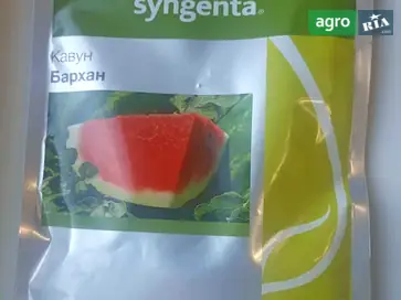 Насіння кавуна «Бархан» Syngenta (Barhan F1) - фото