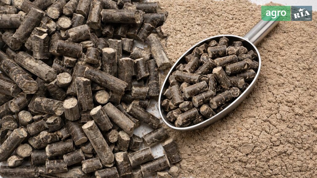 Соняшник    - фото 1