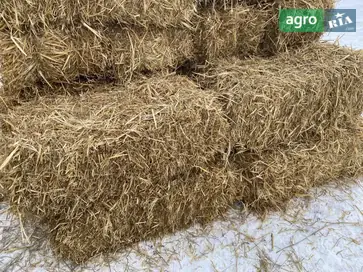 Солома в тюках: суха та якісна підстилка для господарства - фото