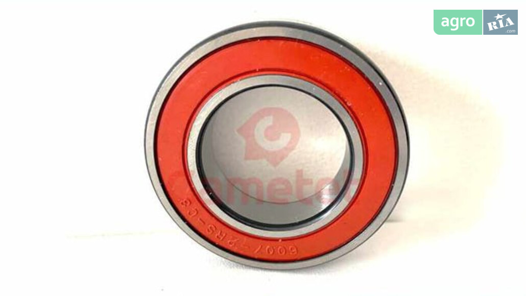  Maschio   - фото 1