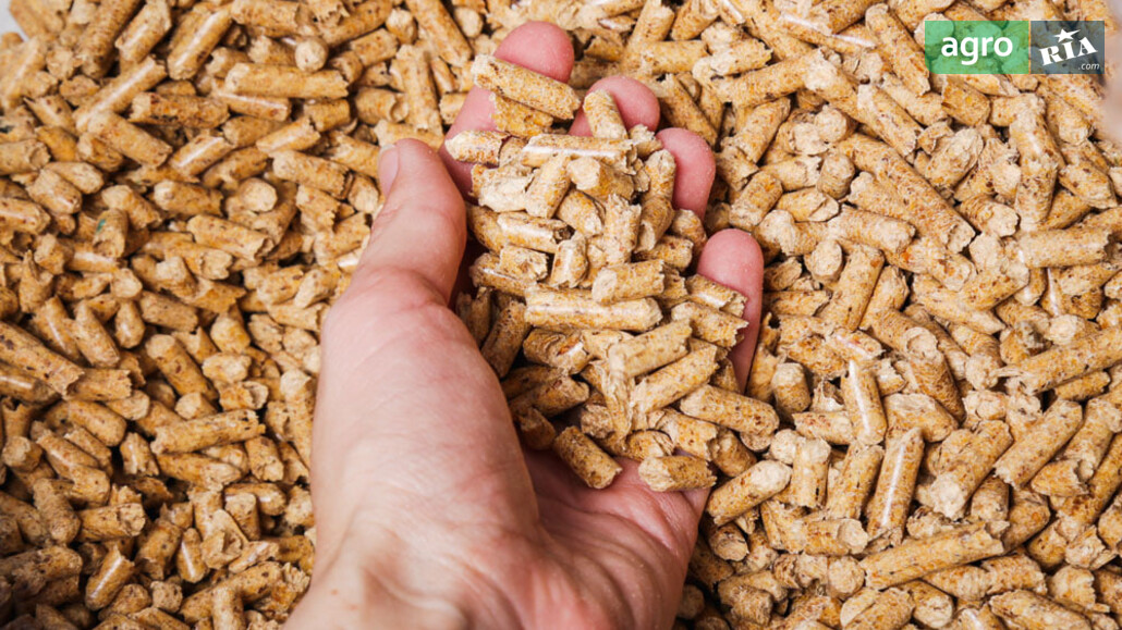 Кукурудза    - фото 1