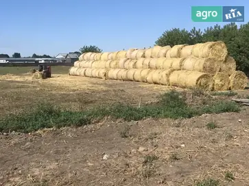 Гній кінський (свіжий та перегній) - фото