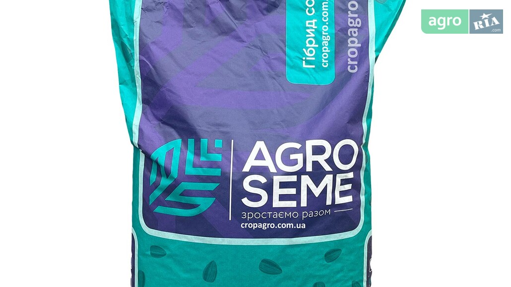 Соняшник    - фото 1