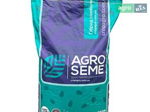 Насіння соняшника НС Х 6749 АгроСеме