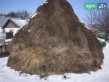 Стіг сіна, сіно - фото