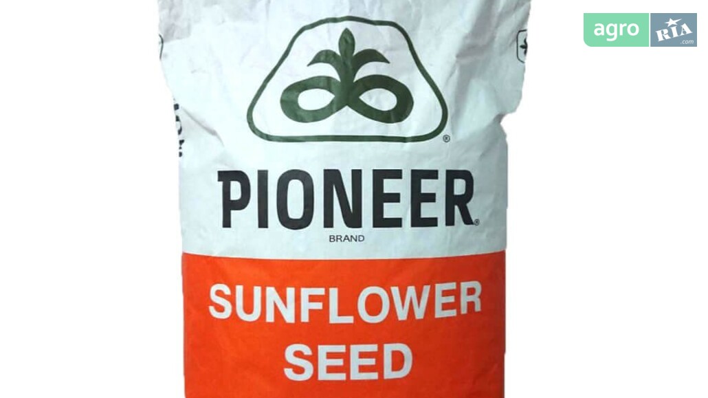 Соняшник    - фото 1