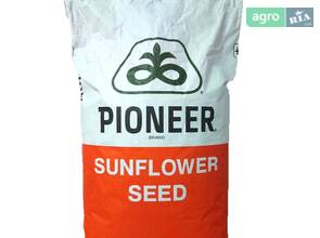 Насіння соняшника Піонер П64ЛП130 (P64LP130)